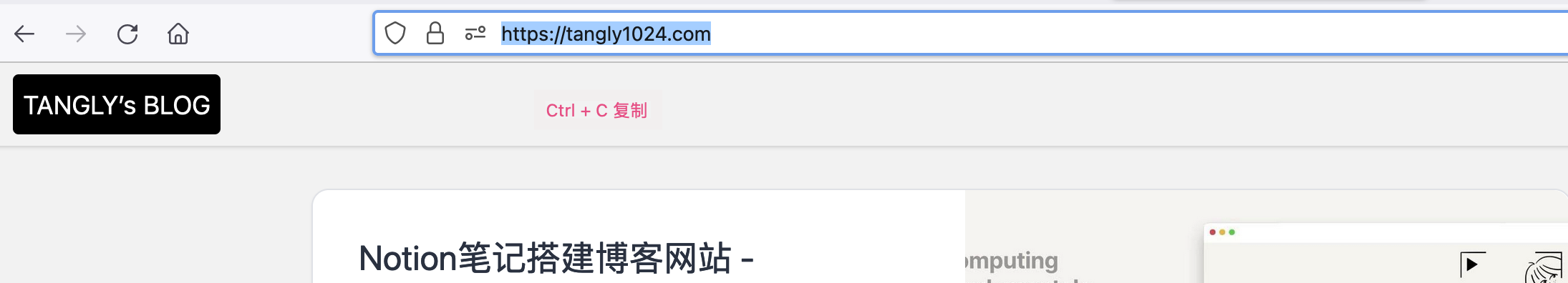 可以在浏览器的地址栏中复制
